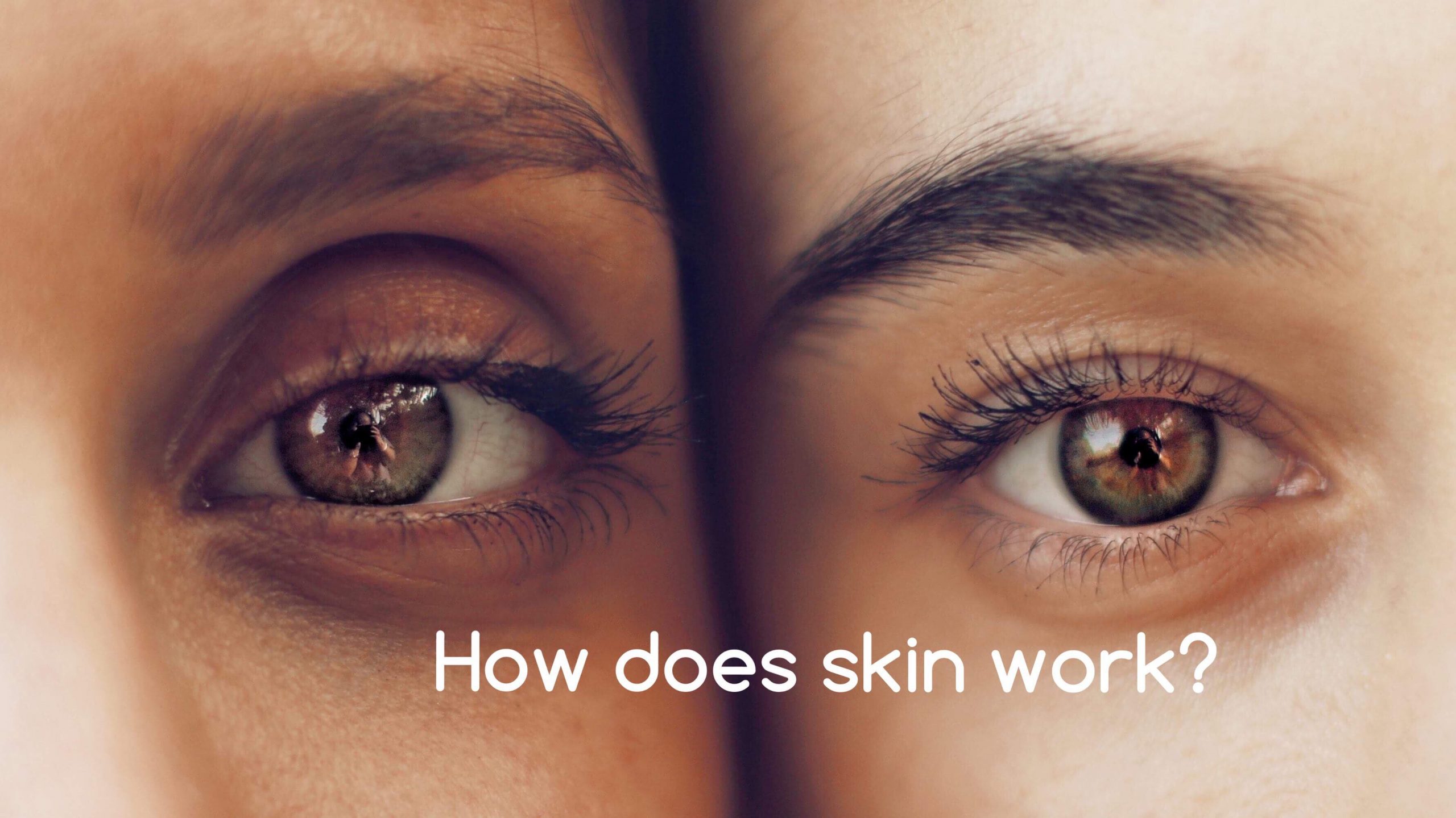 How does skin work?